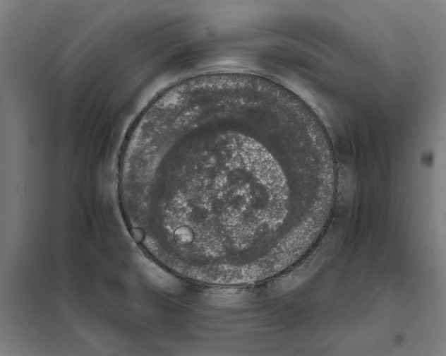 X0000101681474200808071057