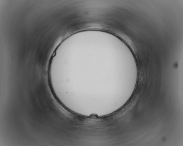 X0000101681475200808071057