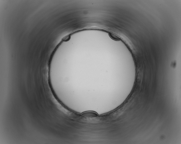 X0000101681476200808071057