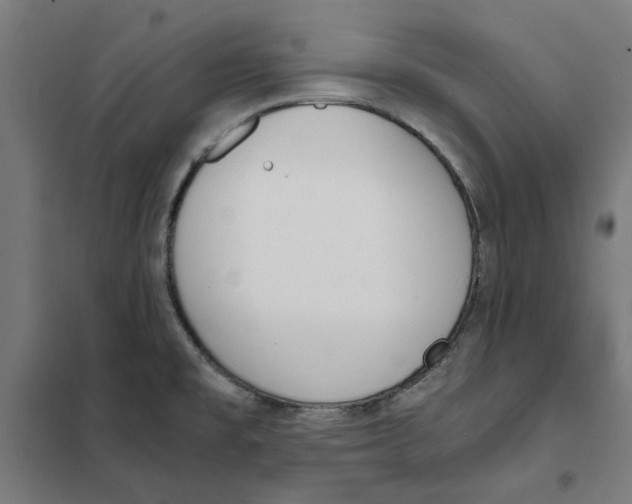 X0000101681477200808071057