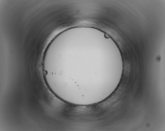 X0000101681478200808071057