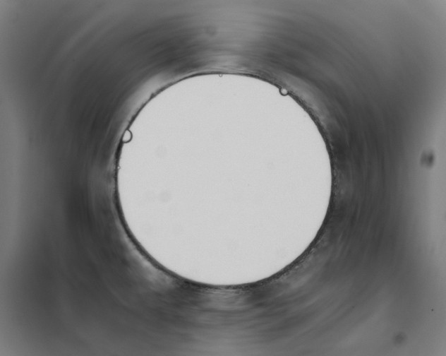 X0000101681479200808071057