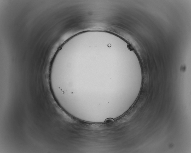 X0000101681480200808071057