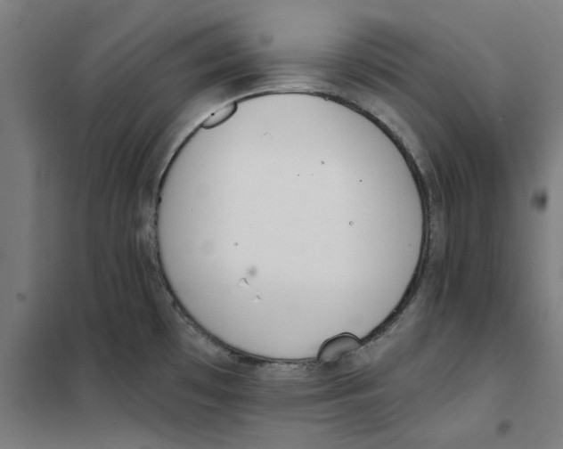 X0000101681481200808071057