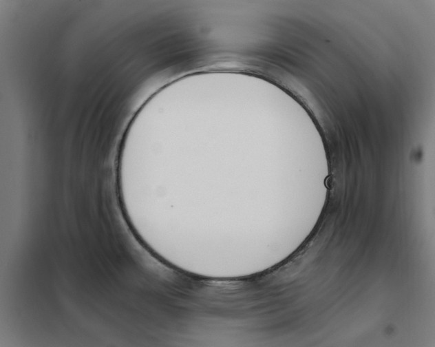 X0000101681483200808071057