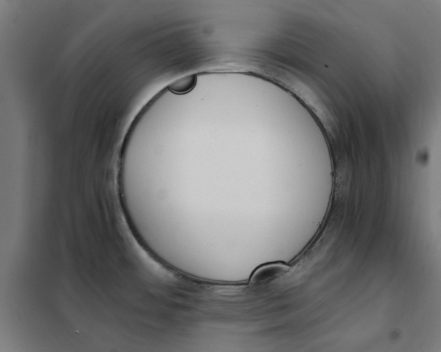 X0000101681484200808071057