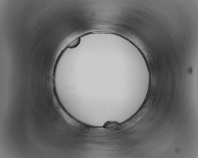 X0000101681485200808071057