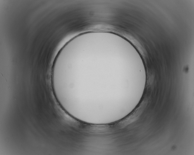 X0000101681486200808071056