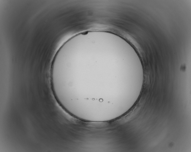 X0000101681487200808071056