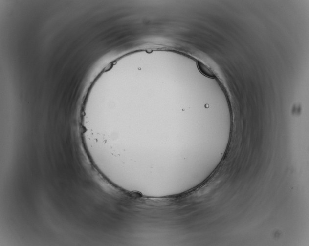 X0000101681488200808071056