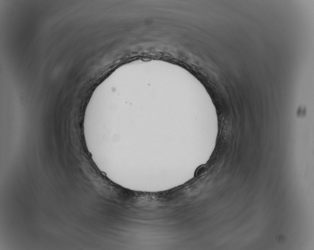 X0000101681489200808071056