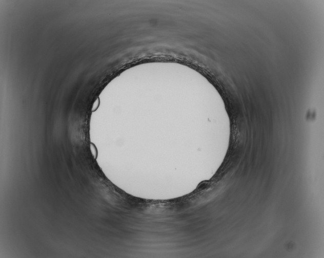 X0000101681490200808071056