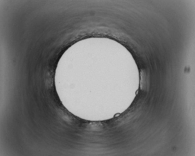 X0000101681491200808071056