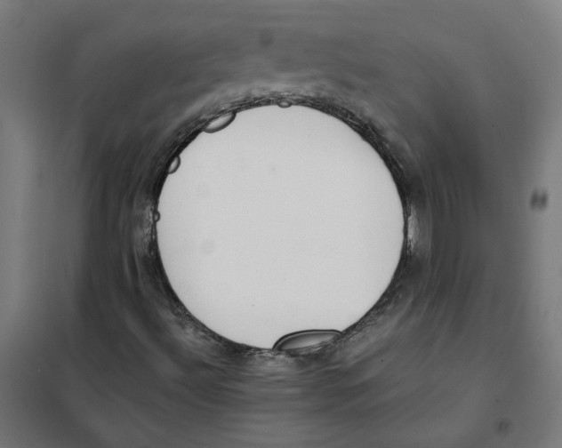 X0000101681492200808071056