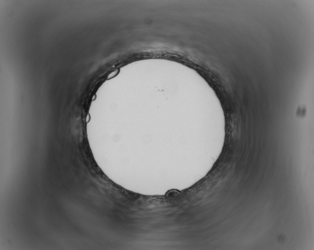 X0000101681493200808071056