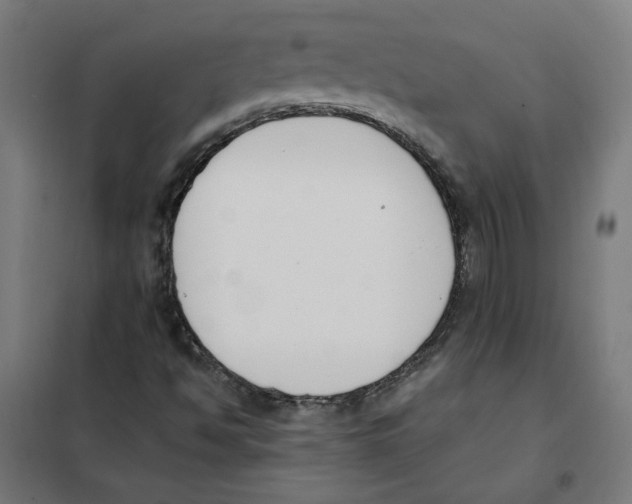 X0000101681494200808071056