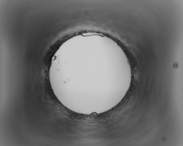 X0000101681495200808071056