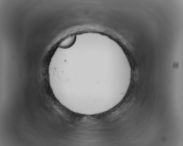 X0000101681496200808071056