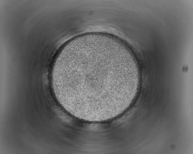 X0000101681497200808071056