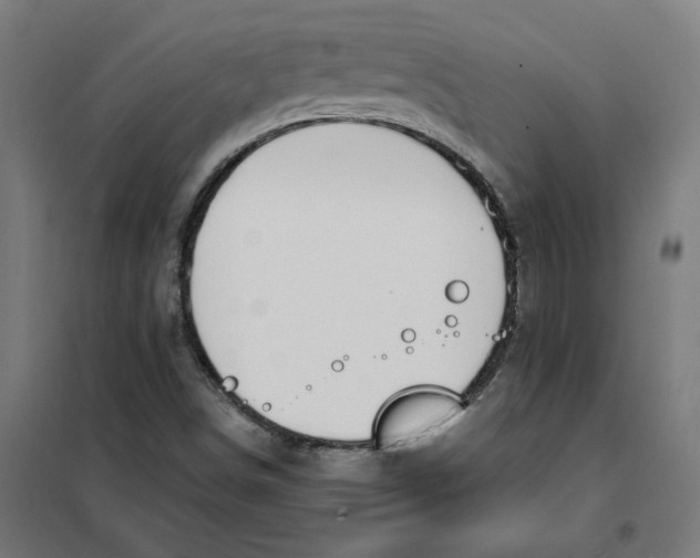 X0000101681498200808071056