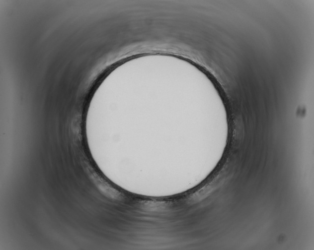 X0000101681499200808071056