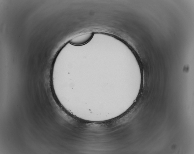 X0000101681500200808071056