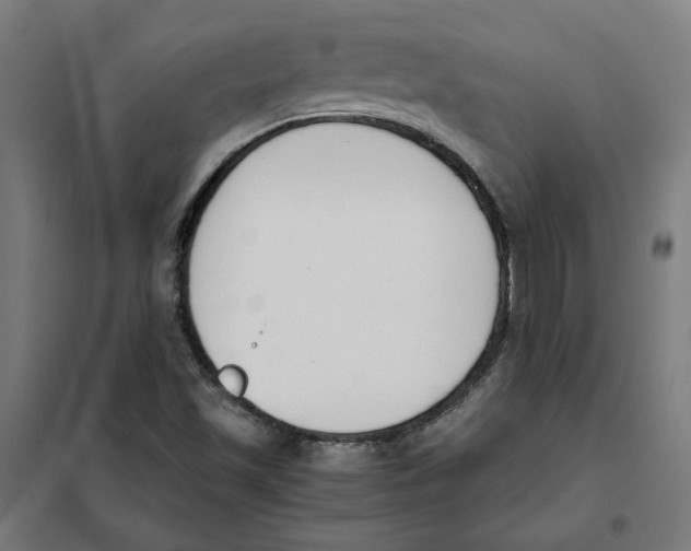 X0000101681501200808071056