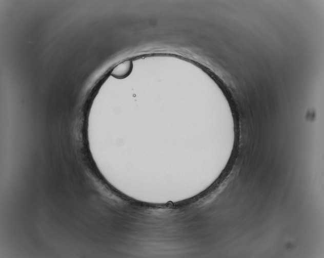 X0000101681502200808071056