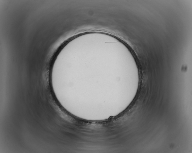 X0000101681503200808071056