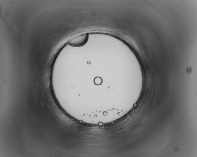 X0000101681504200808071056