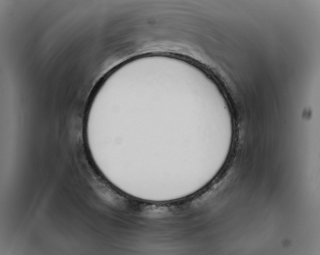 X0000101681505200808071056