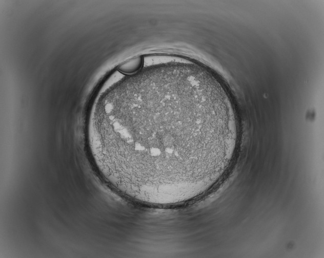 X0000101681506200808071056