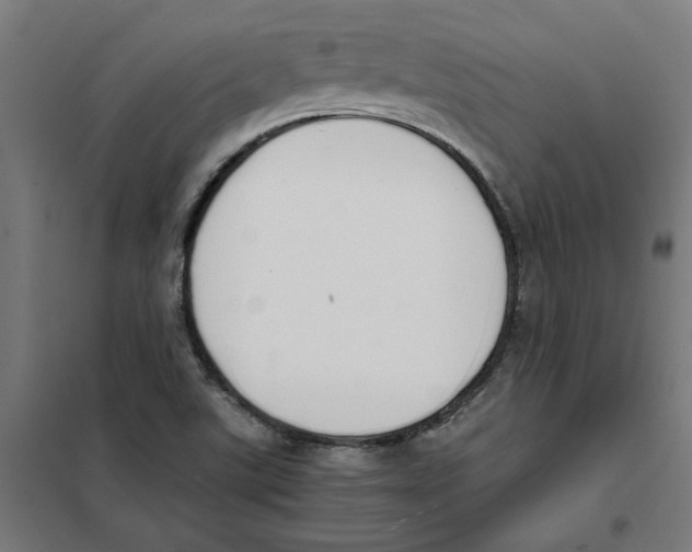 X0000101681507200808071056