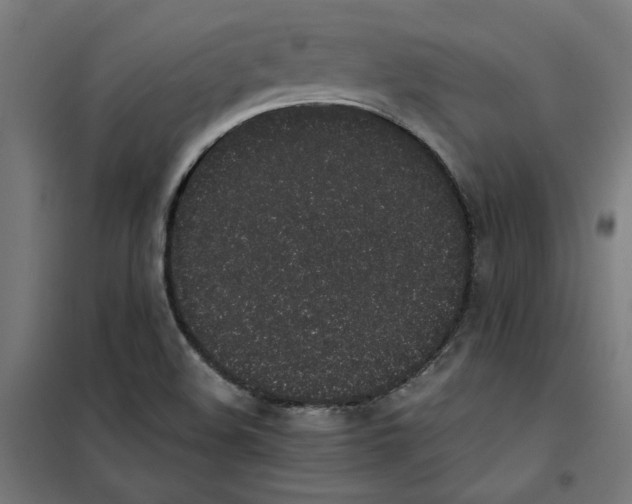 X0000101681508200808071056