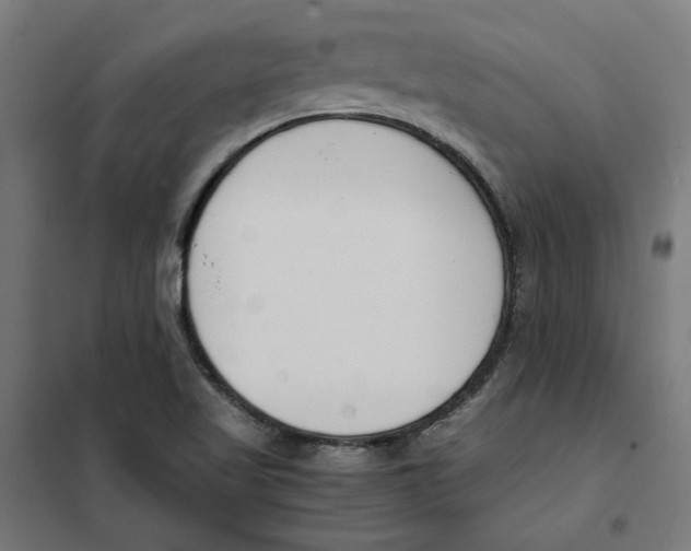 X0000101681509200808071056