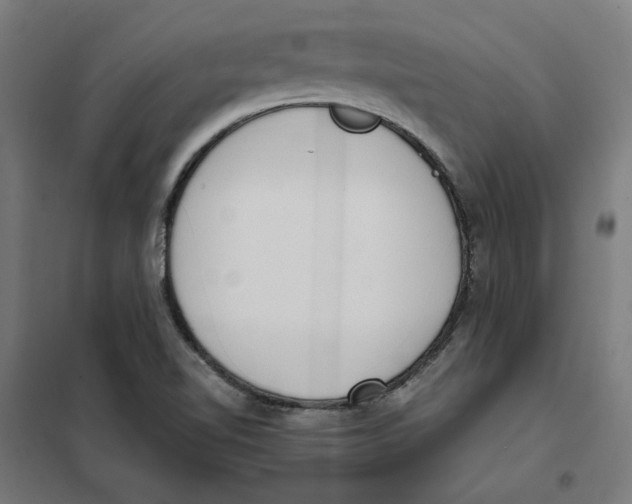 X0000101681510200808071056