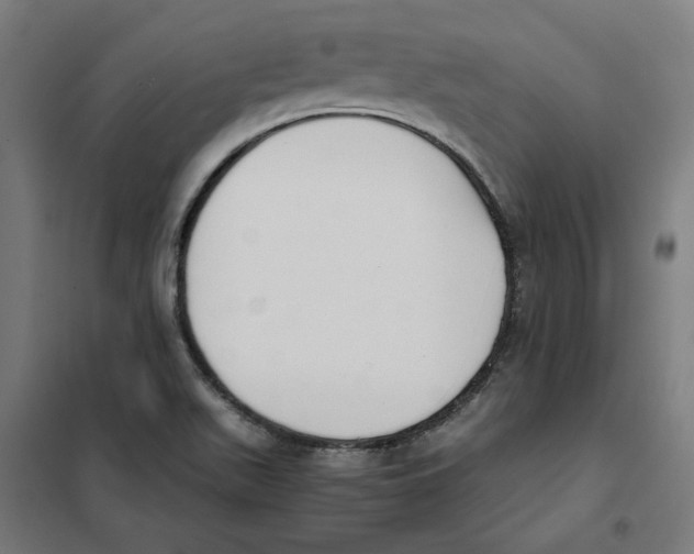 X0000101681511200808071056