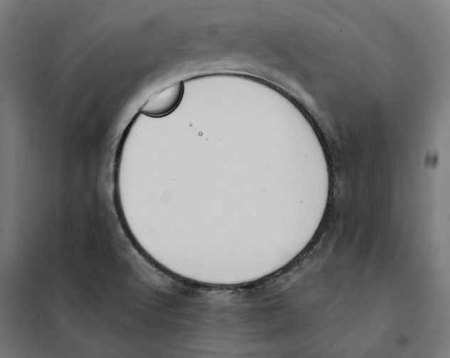 X0000101681512200808071056