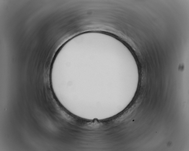 X0000101681513200808071056