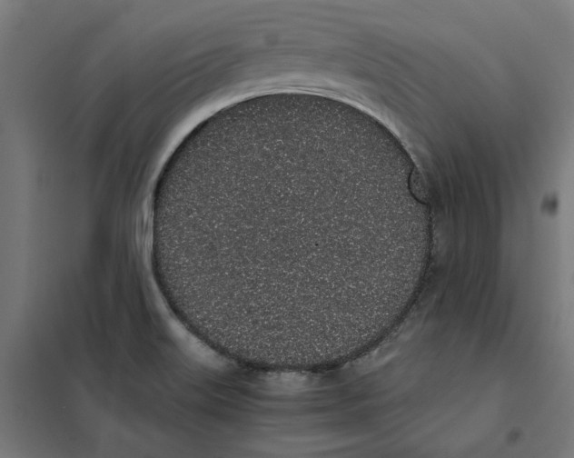 X0000101681515200808071056