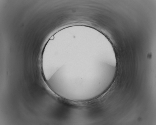 X0000101681516200808071056