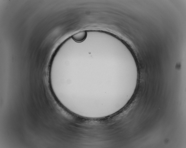 X0000101681517200808071056