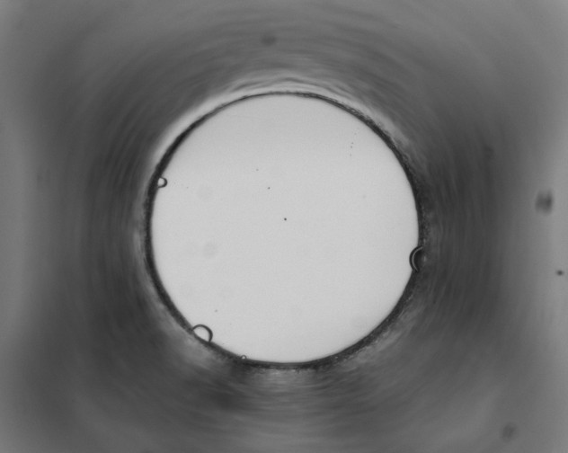 X0000101681518200808071056