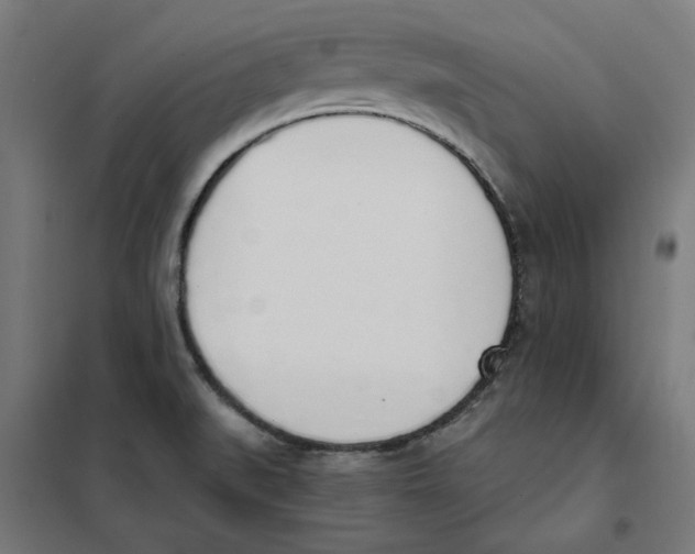 X0000101681519200808071056