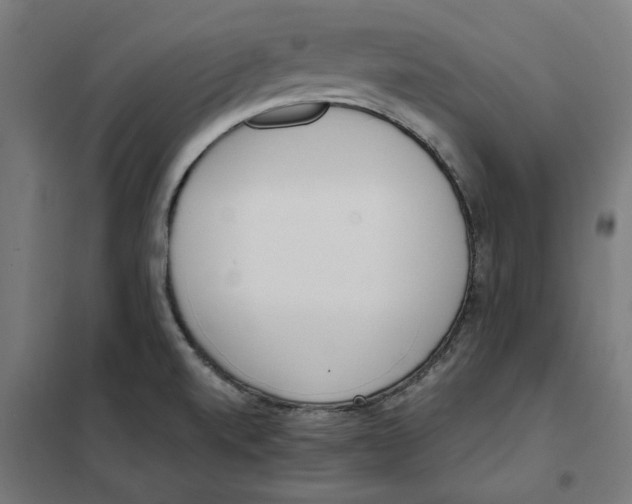 X0000101681520200808071056