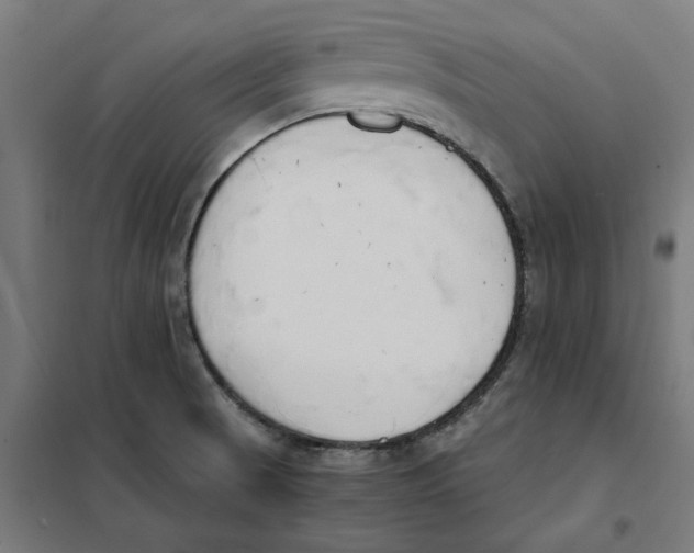 X0000101681521200808071056