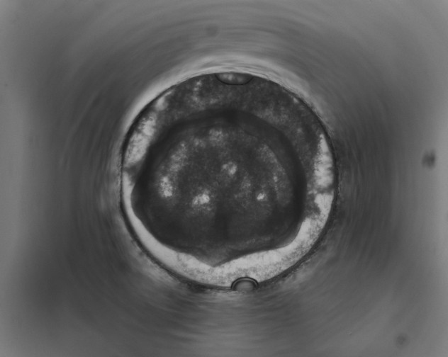 X0000101681522200808071056