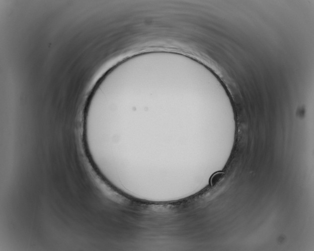 X0000101681523200808071056