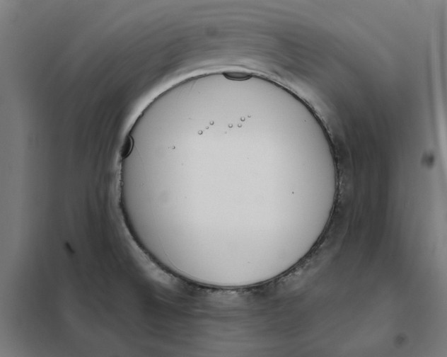 X0000101681524200808071056