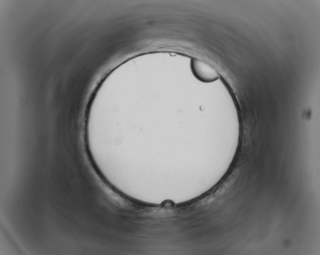 X0000101681525200808071056